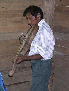 Mayan farmer with homemade violin