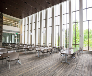 Bora Laskin Law Library