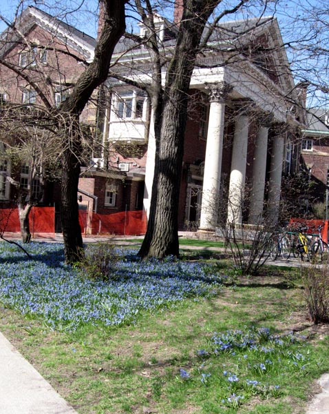 Flavelle House in spring