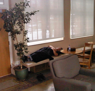 Napping society at rest