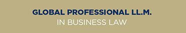 Global Professional LLM