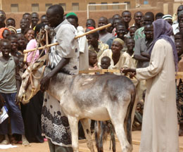 UNHCR Information Day, Khartoum, Sudan