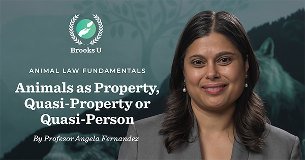 Animals as Property, Quasi-Property or Quasi-Person by Professor Angela Fernandez