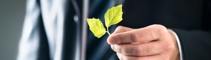 Man in a suit holding a green leaf