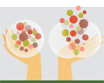Illustration for Balancing Act
