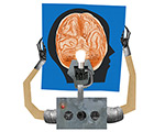Illustration - robot holding map of human brain